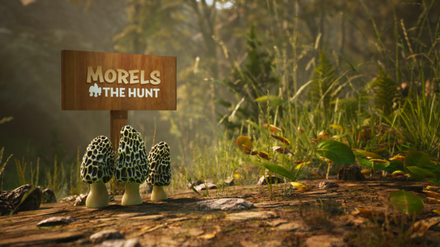 Morels: The Hunt pc game